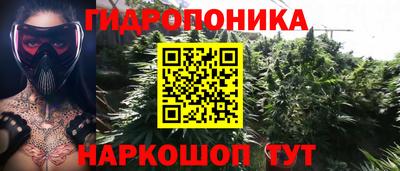 кокс Тара