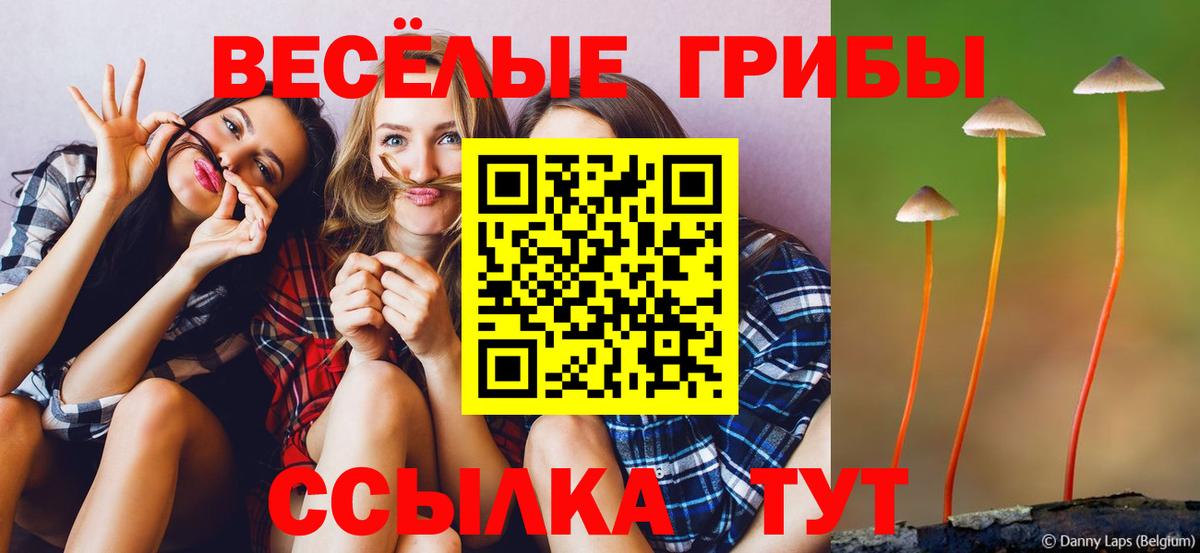 Галлюциногенные грибы MAGIC MUSHROOMS Майкоп