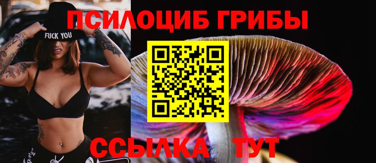 Майкоп  Галлюциногенные грибы прущие грибы  Галлюциногенные грибы ЛСД  Вход с VPN 